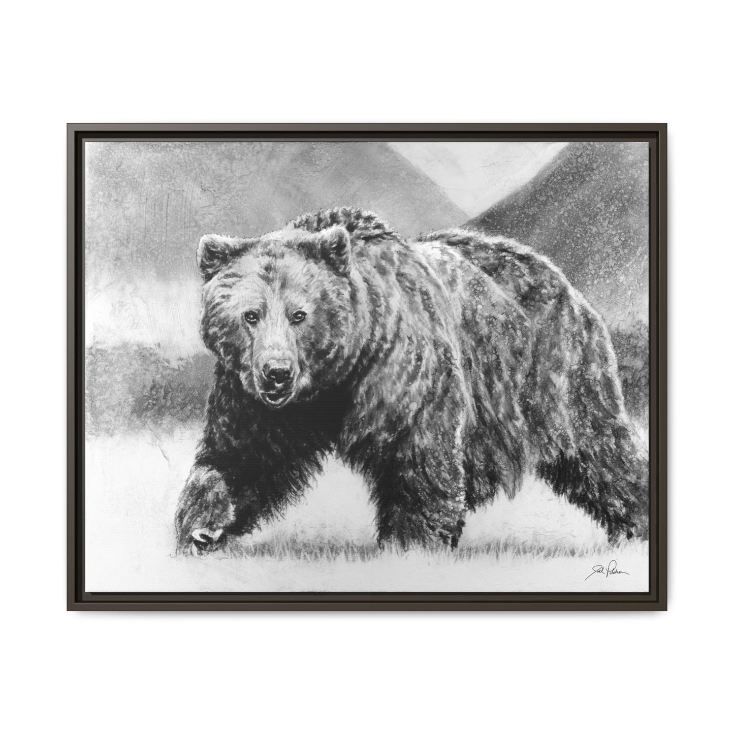 Grizzly II" Framed Canvas