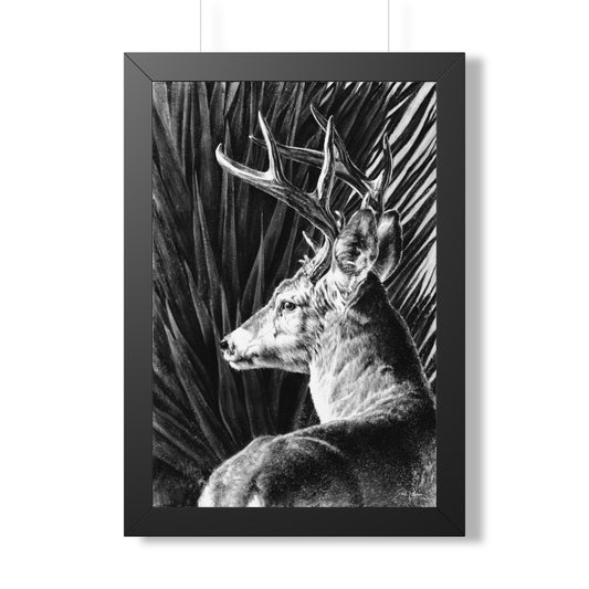 "Coues Buck" Framed Paper Print