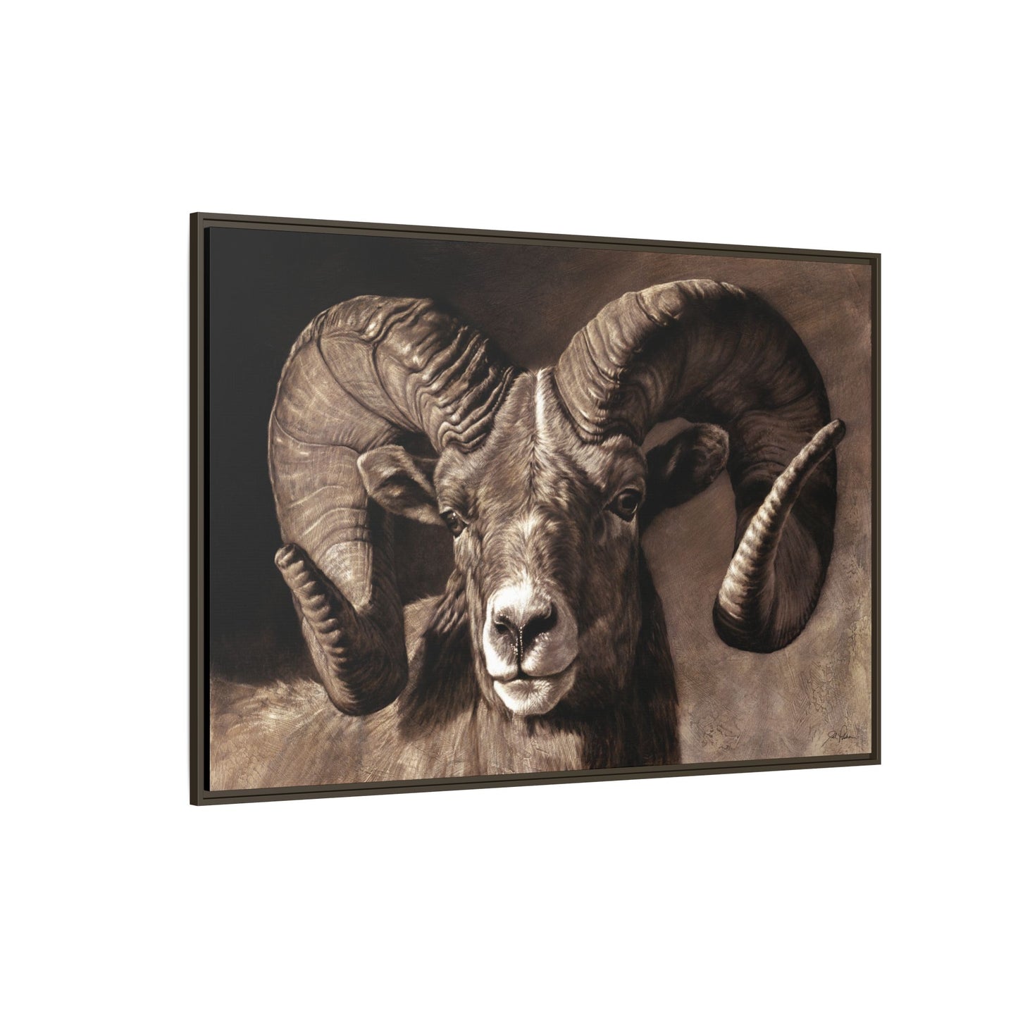 "Full Curl" Framed Canvas