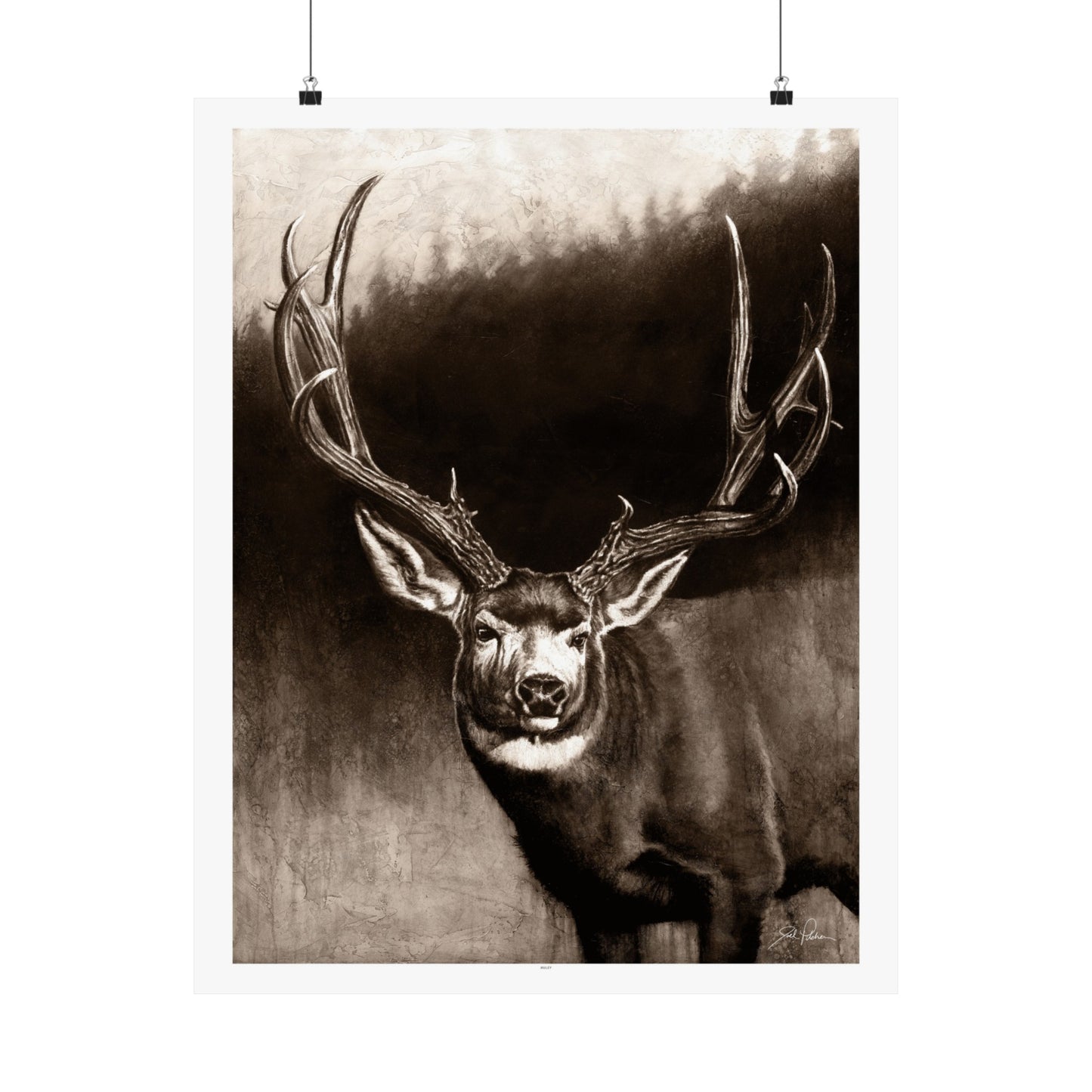 "Muley" Premium Matte Paper Print.