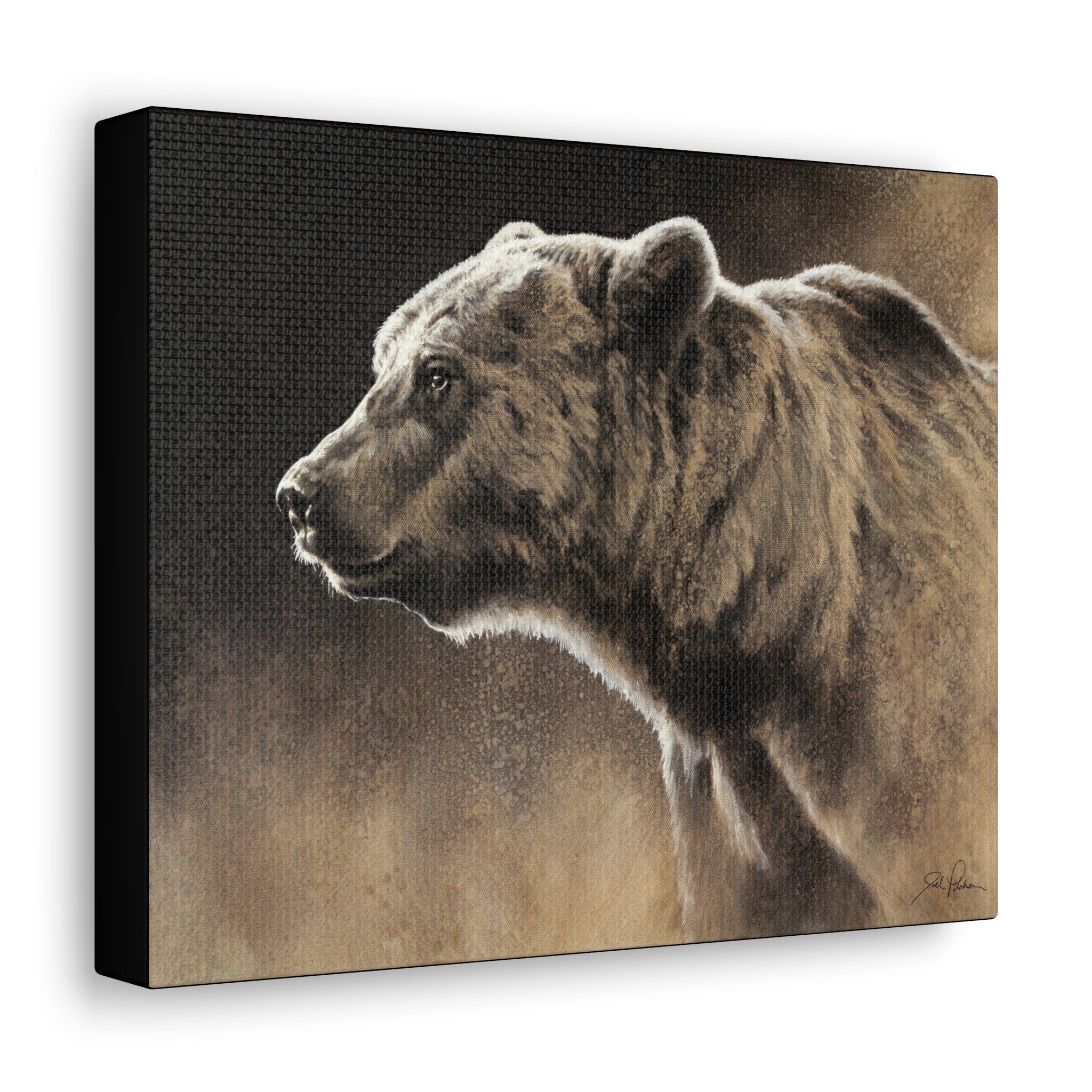"Grizzly" Gallery Wrapped Canvas