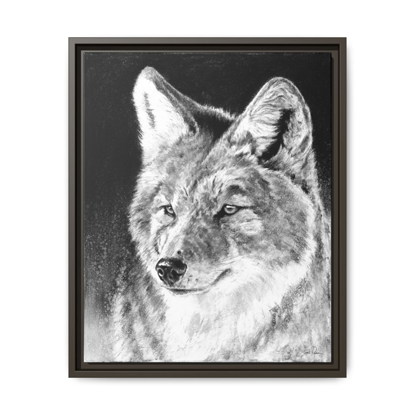"Coyote II" Framed Canvas
