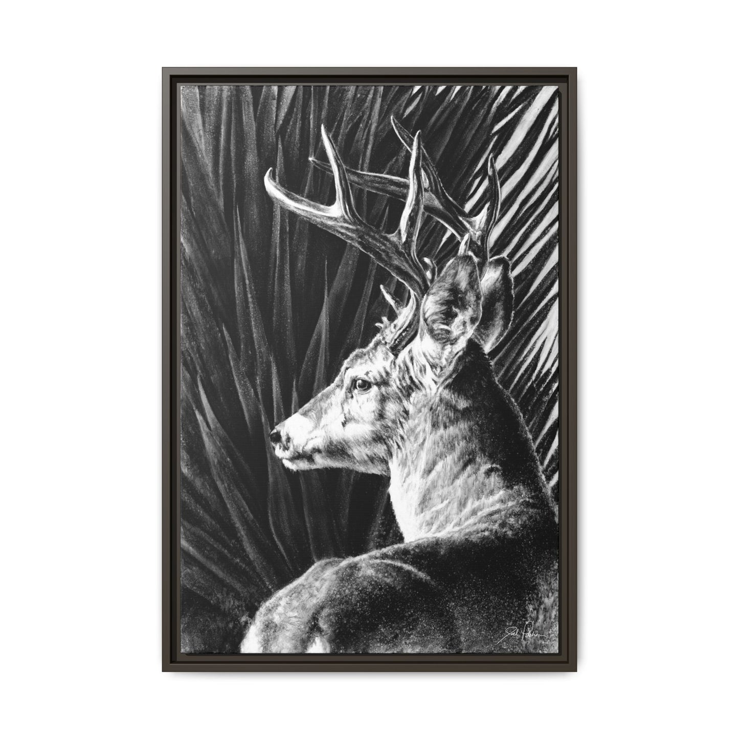 "Coues Buck" Framed Canvas