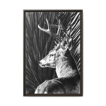 "Coues Buck" Framed Canvas