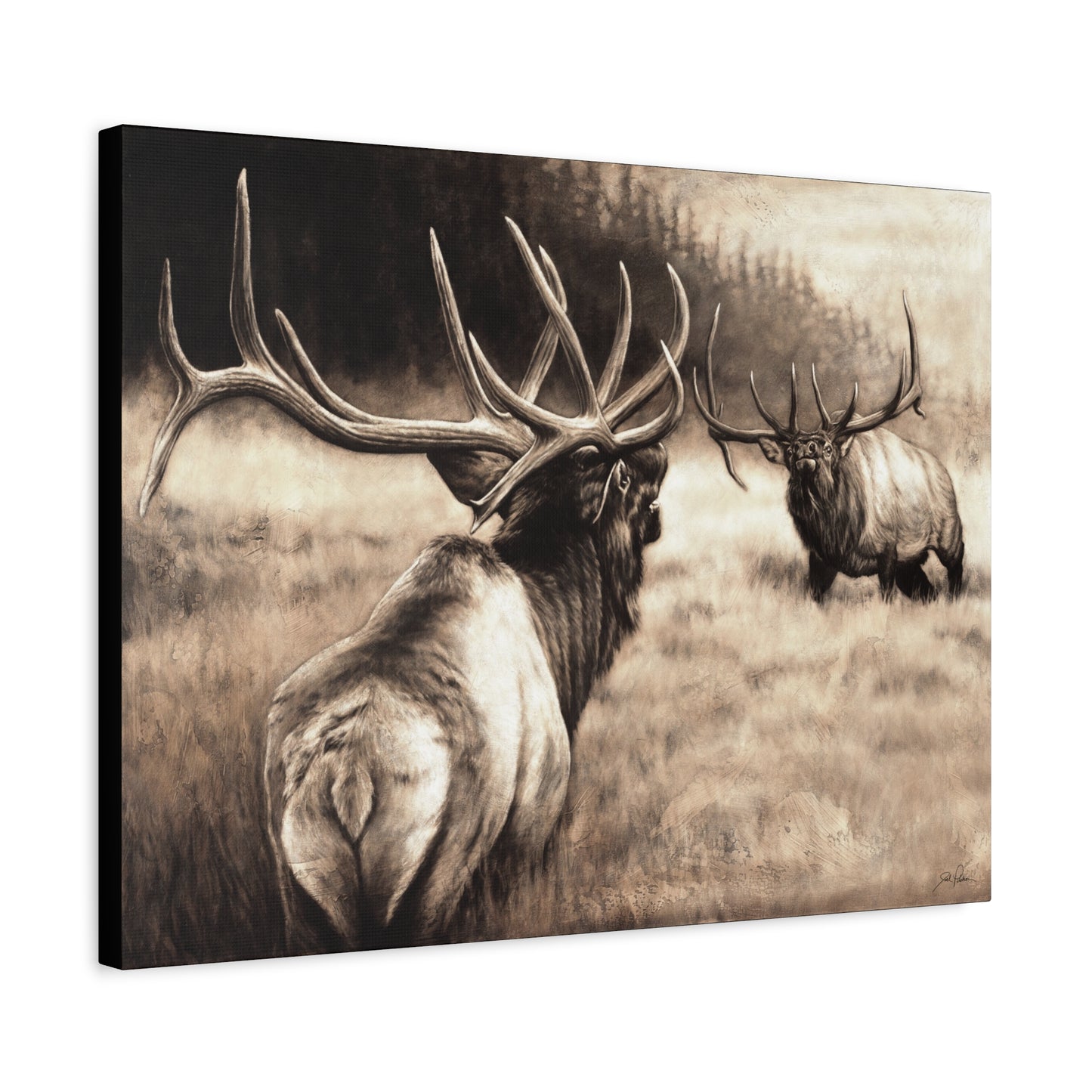 "Ready to Rumble" Stretched Canvas