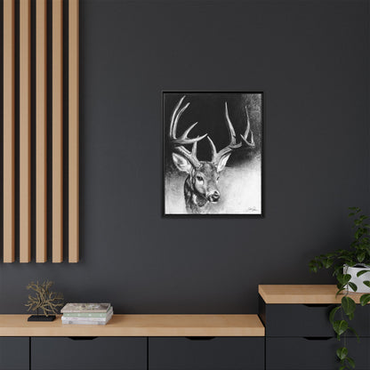 "Whitetail Buck" Framed Canvas