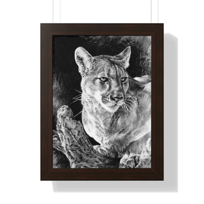 "Mountain Lion" Framed Paper Print