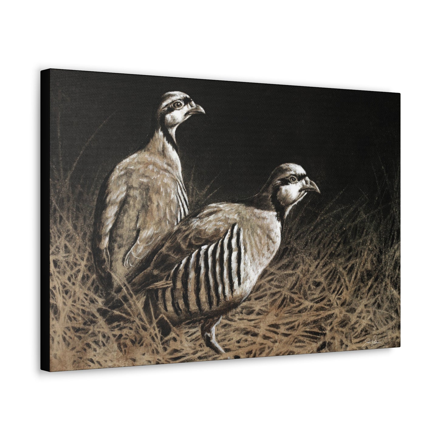 "Chukars" Gallery Wrapped Canvas