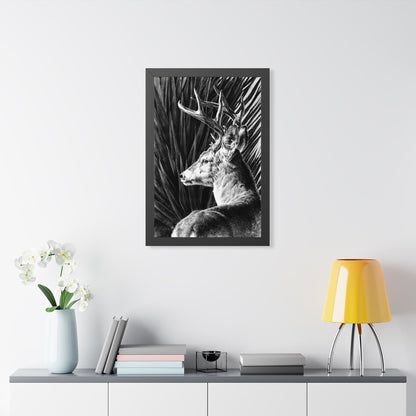 "Coues Buck" Framed Paper Print