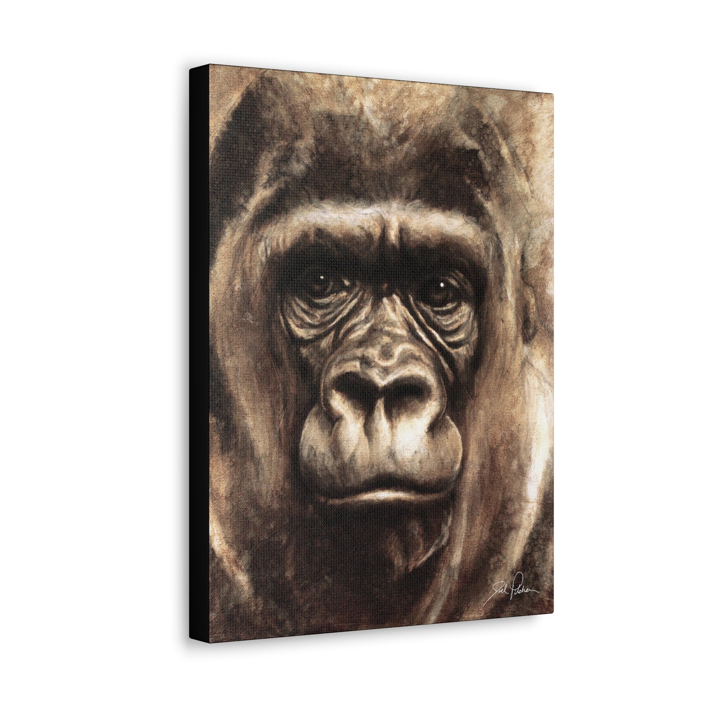 "Gorilla" Gallery Wrapped Canvas