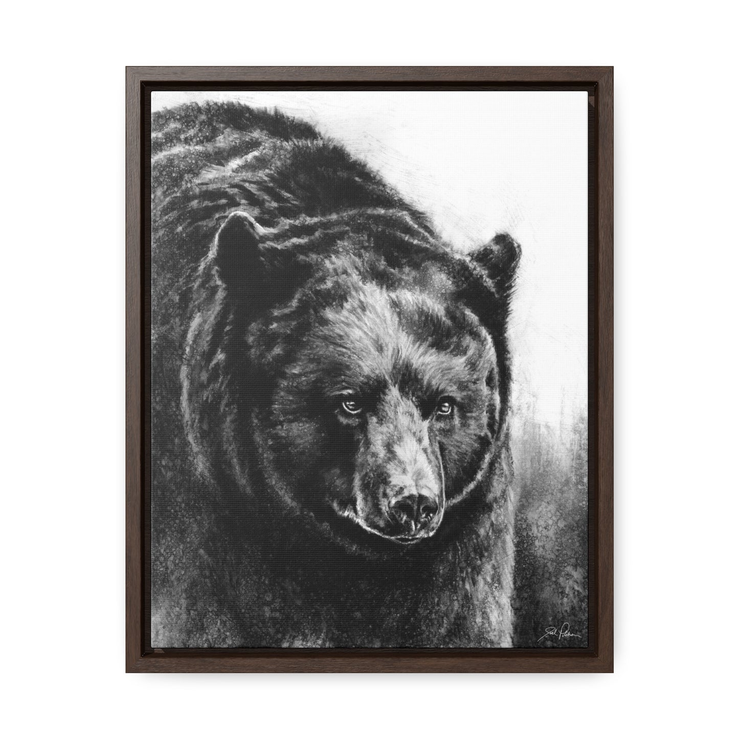 "Black Bear" Gallery Wrapped/Framed Canvas