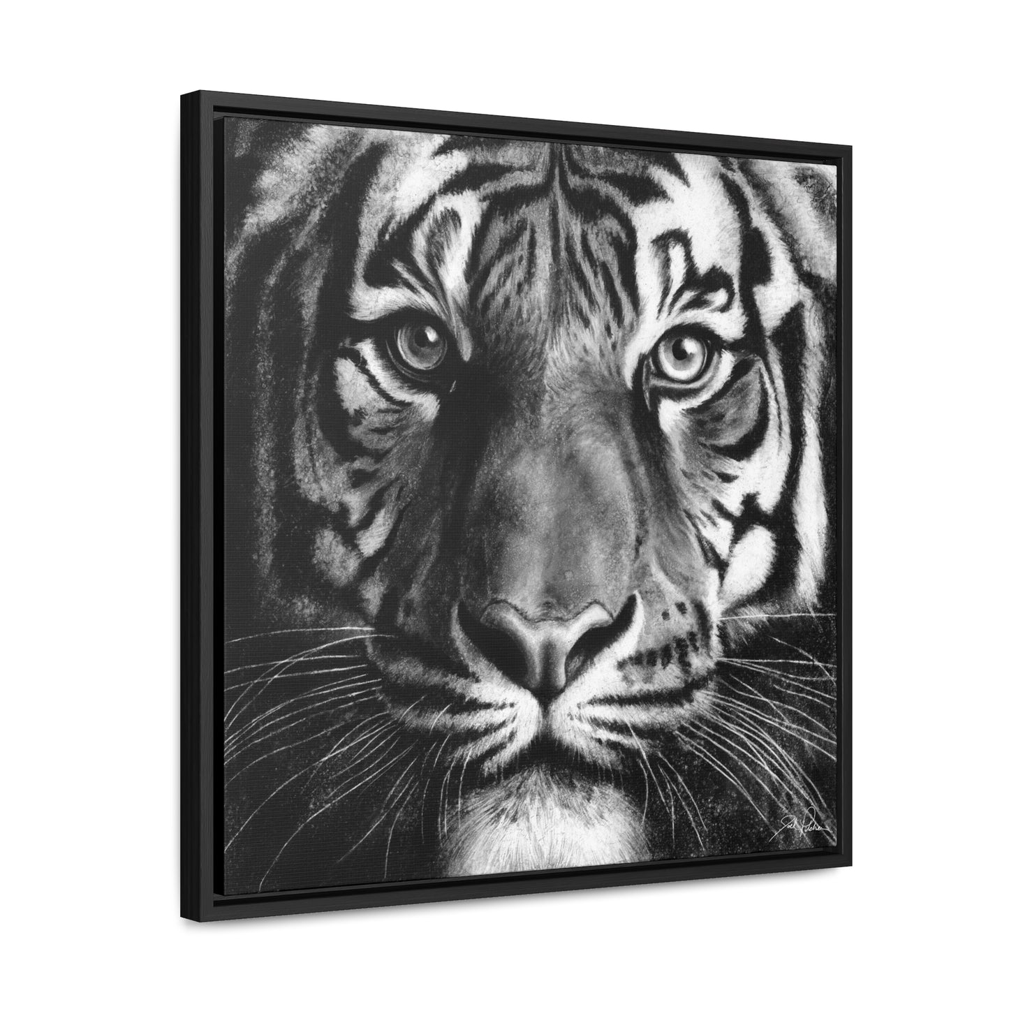 "Tiger" Gallery Wrapped/Framed Canvas