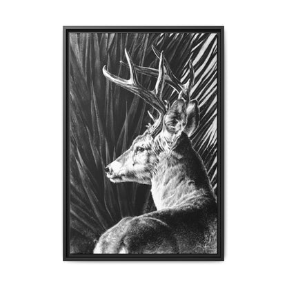 "Coues Buck" Framed Canvas