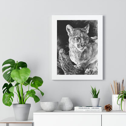 "Mountain Lion" Framed Paper Print
