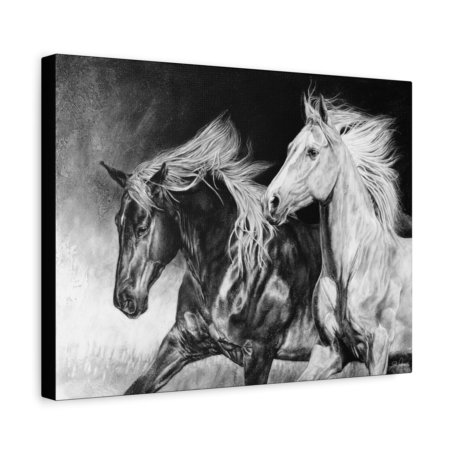"Dynamic Duo" Stretched Canvas