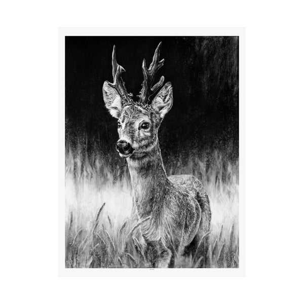 "Roe Deer" Premium Matte Paper Print.