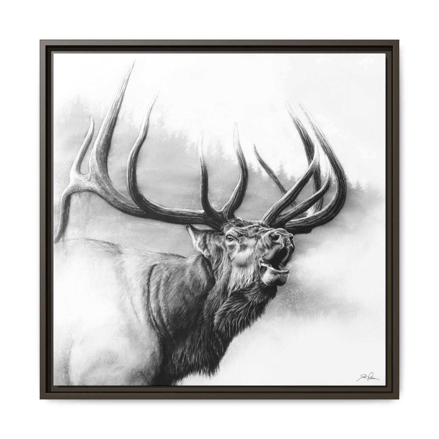 "Rocky Mountain King" Framed Canvas