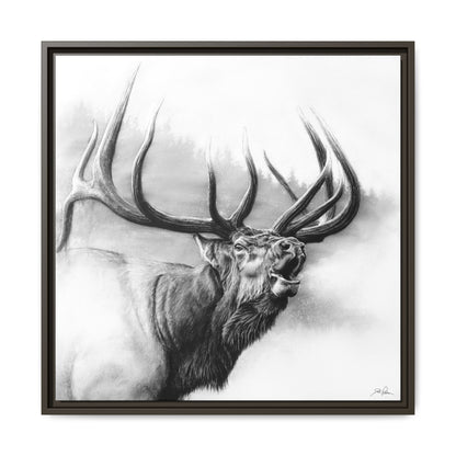 "Rocky Mountain King" Framed Canvas