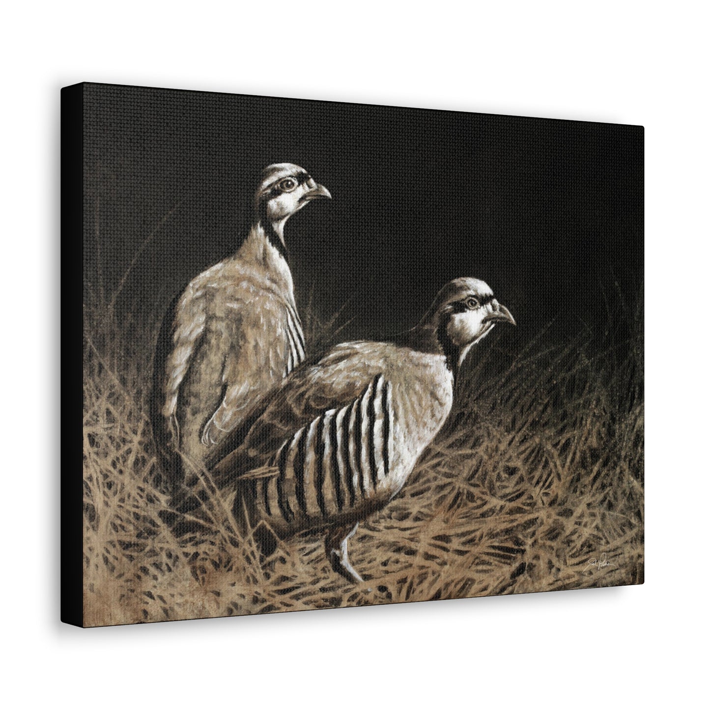 "Chukars" Gallery Wrapped Canvas