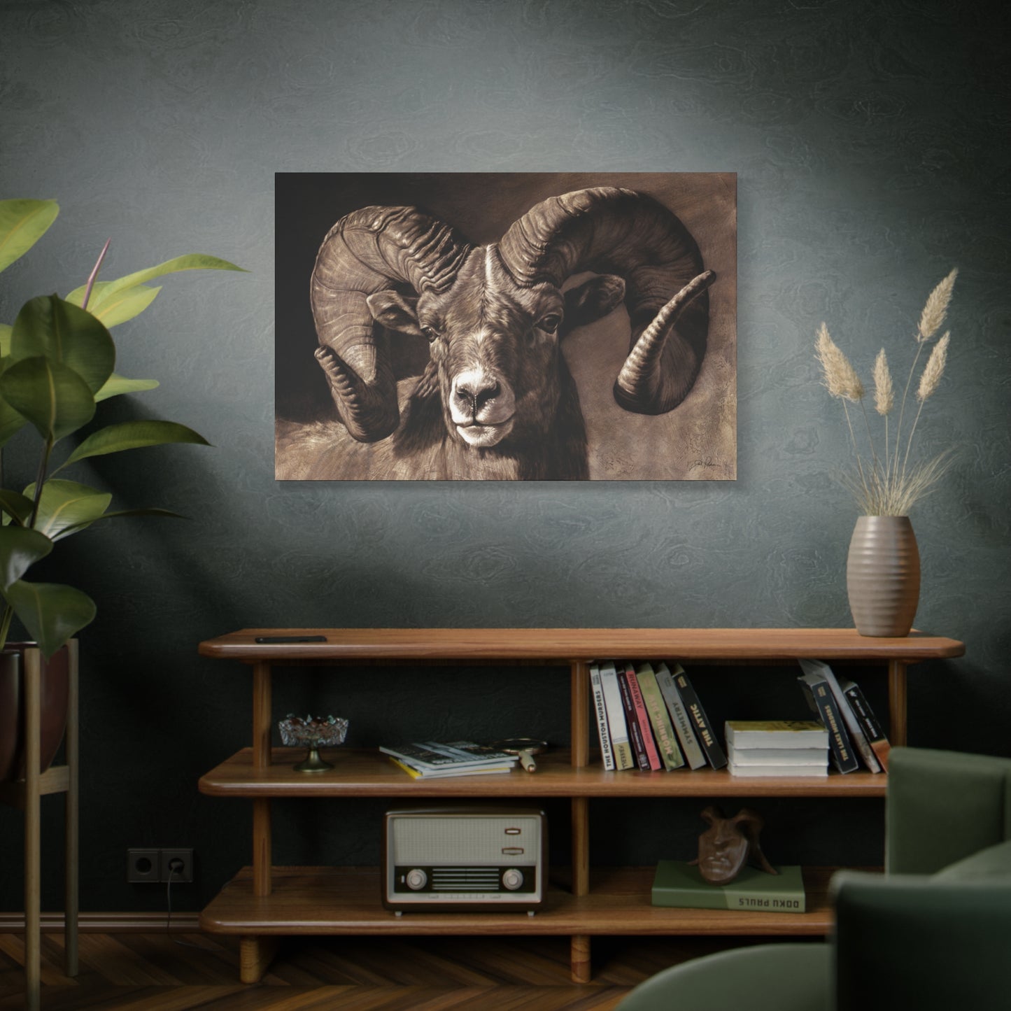 "Full Curl" Stretched Canvas