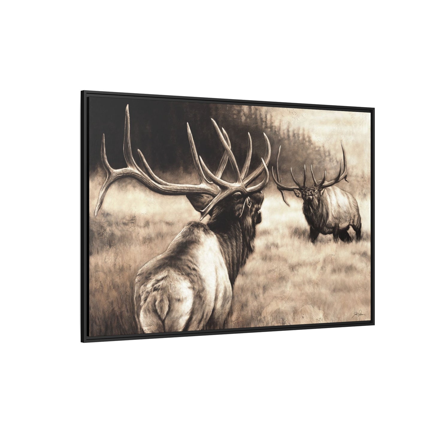 "Ready to Rumble" Framed Canvas