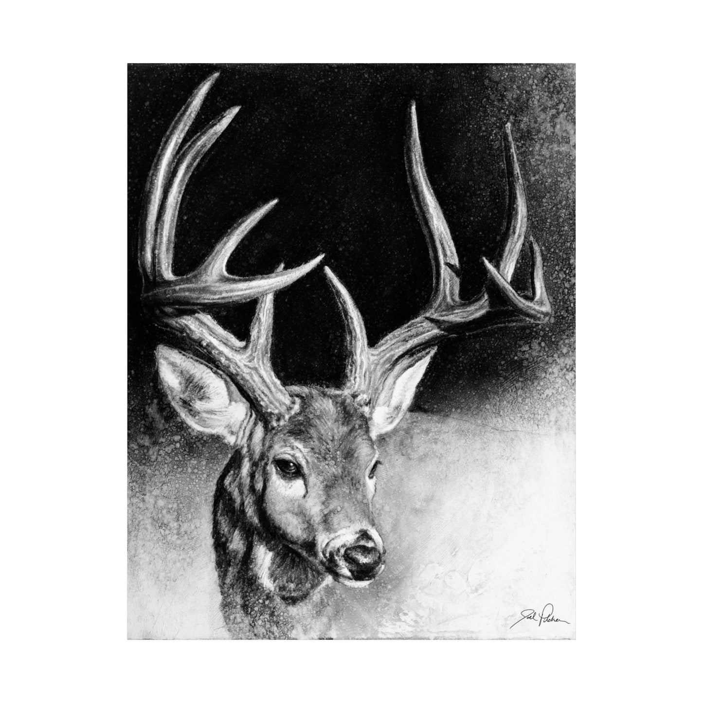 "Whitetail Buck" Premium Matte Paper Print.