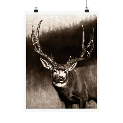 "Muley" Premium Matte Paper Print.