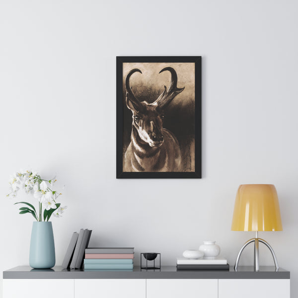 "Pronghorn" Framed Paper Print.