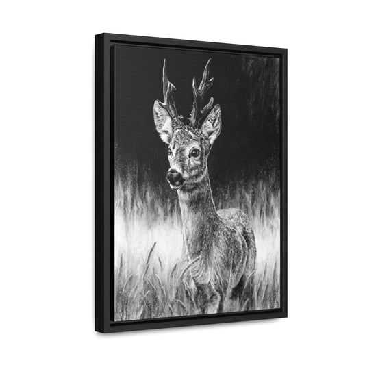 "Roe Deer" Gallery Wrapped/Framed Canvas