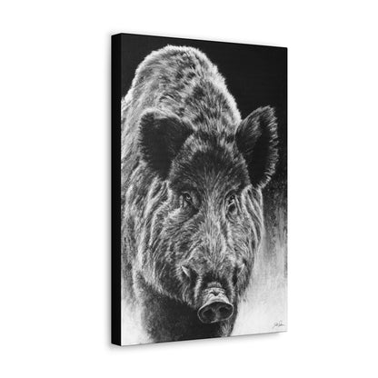 "Wild Boar" Gallery Wrapped Canvas