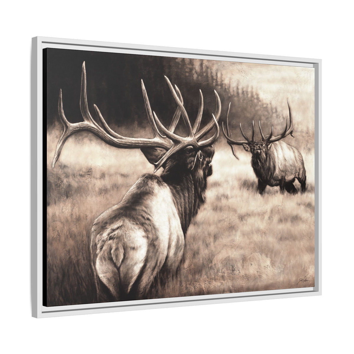 "Ready to Rumble" Framed Canvas