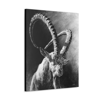 "Ibex" Gallery Wrapped Canvas