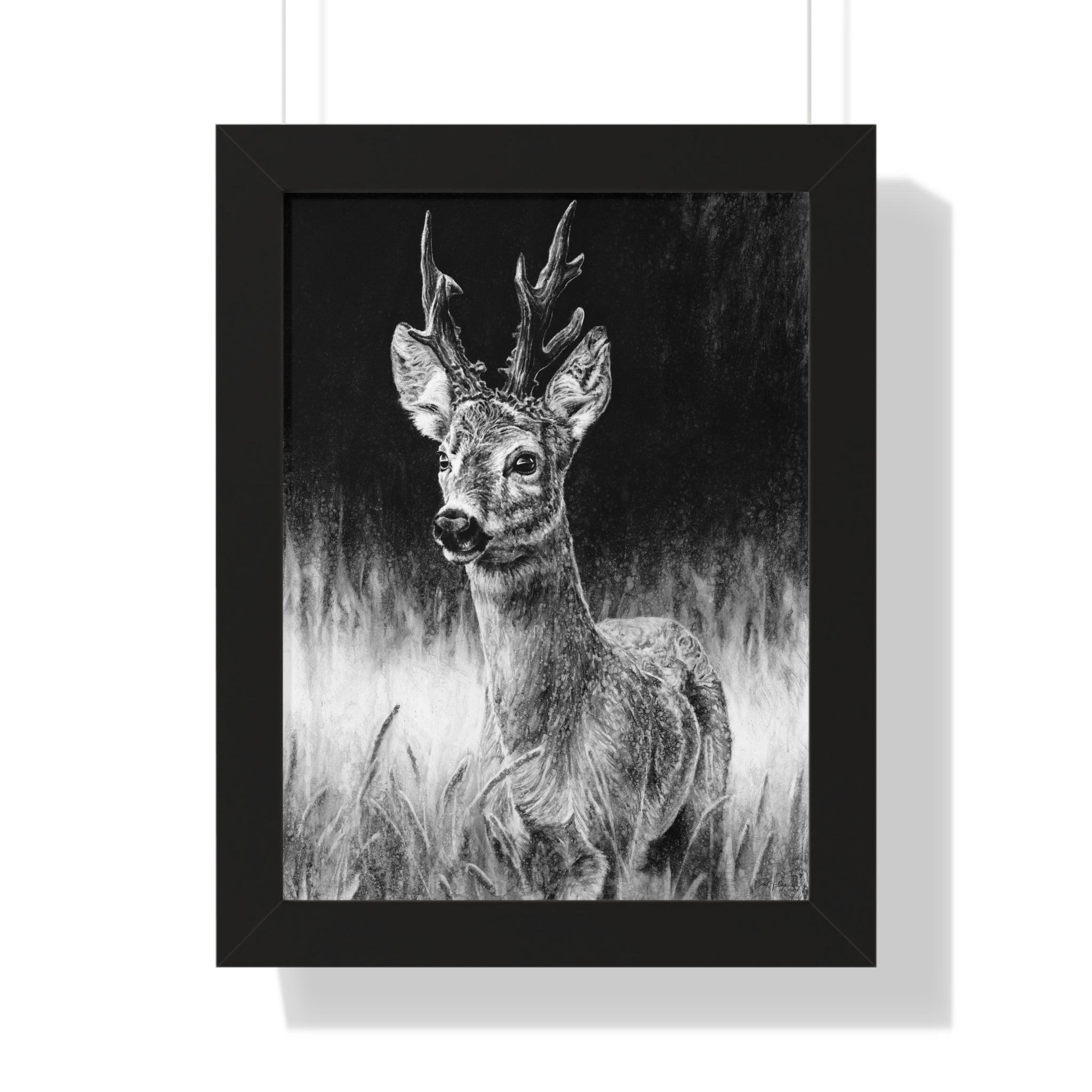 "Roe Deer" Framed Paper Print.