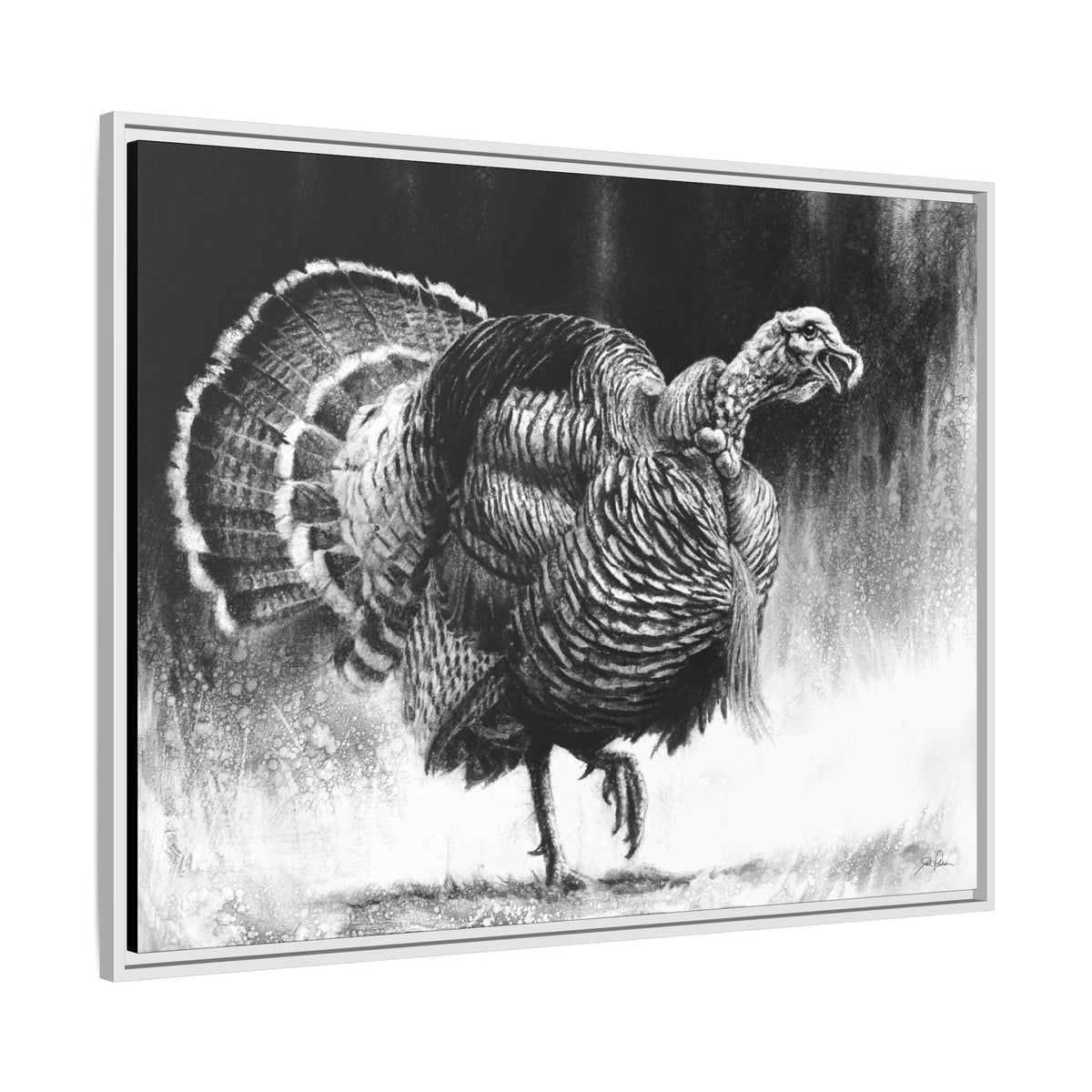 "Gobbler" Framed Canvas