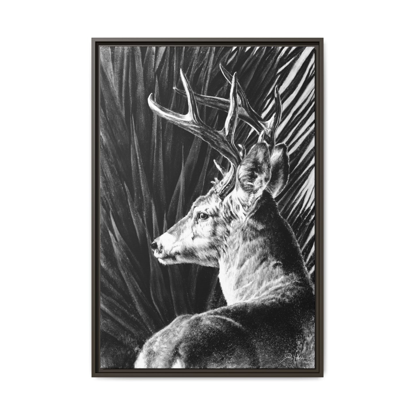 "Coues Buck" Framed Canvas