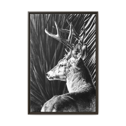 "Coues Buck" Framed Canvas
