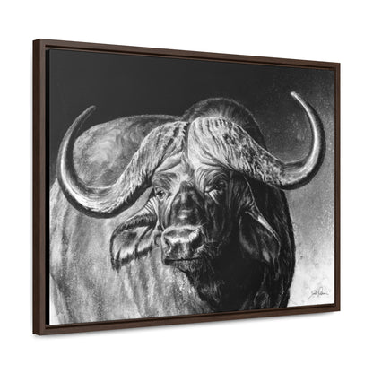 "Cape Buffalo" Gallery Wrapped/Framed Canvas