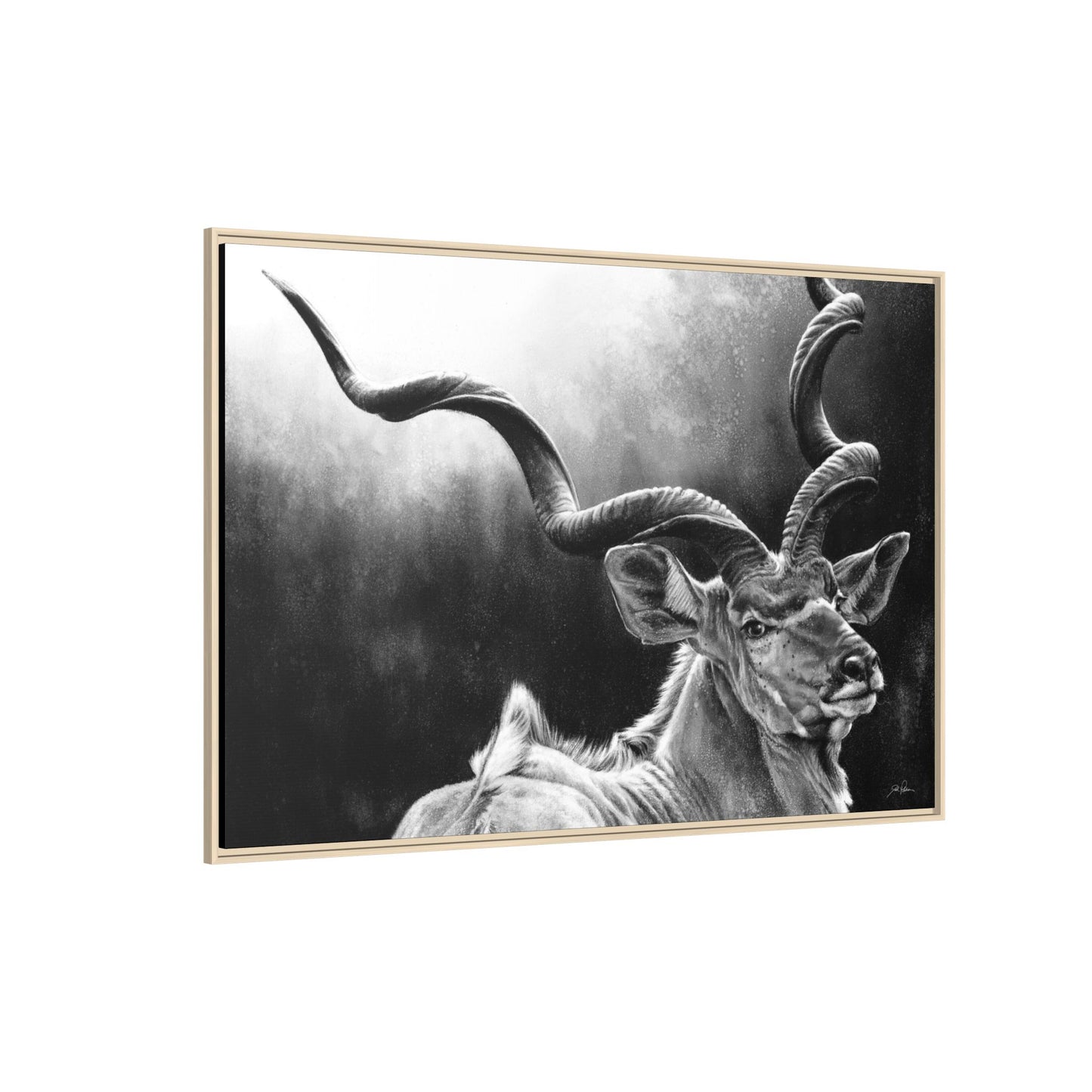 "Kudu" Framed Canvas