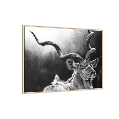 "Kudu" Framed Canvas