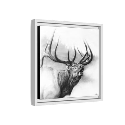 "Rocky Mountain King" Framed Canvas