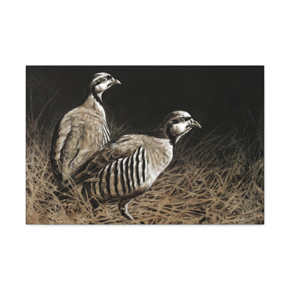 "Chukars" Gallery Wrapped Canvas