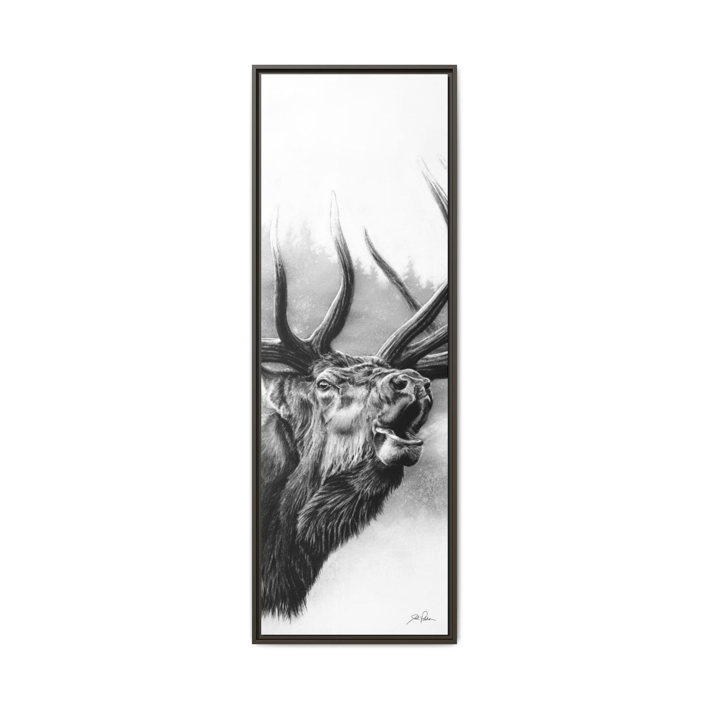 "Rocky Mountain King" Framed Canvas