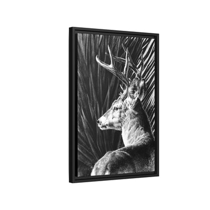 "Coues Buck" Framed Canvas
