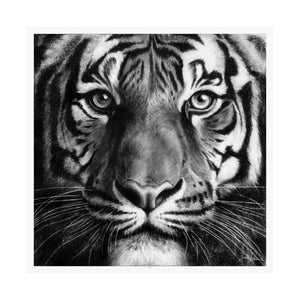 "Tiger" Premium Matte Paper Print.