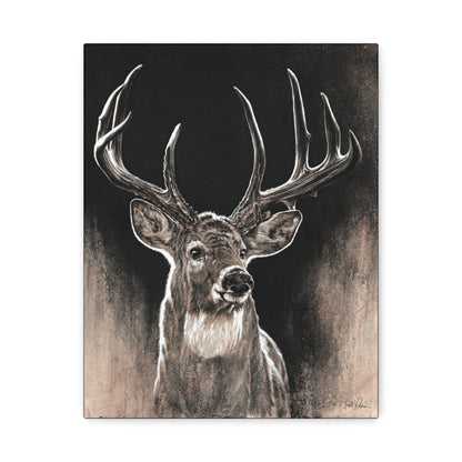 "Backlit Buck" Stretched Canvas