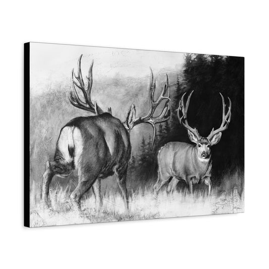 "Face Off" Stretched Canvas