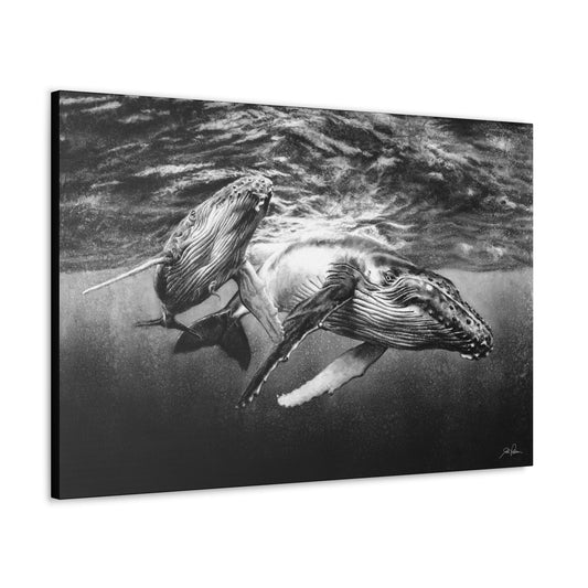 "Humpback Whales" Gallery Wrapped Canvas