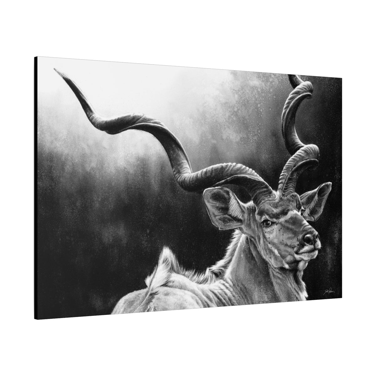 "Kudu" Stretched Canvas