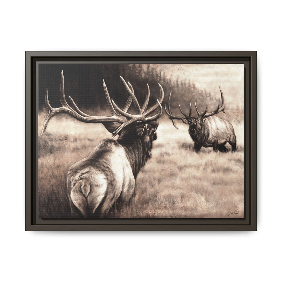 "Ready to Rumble" Framed Canvas