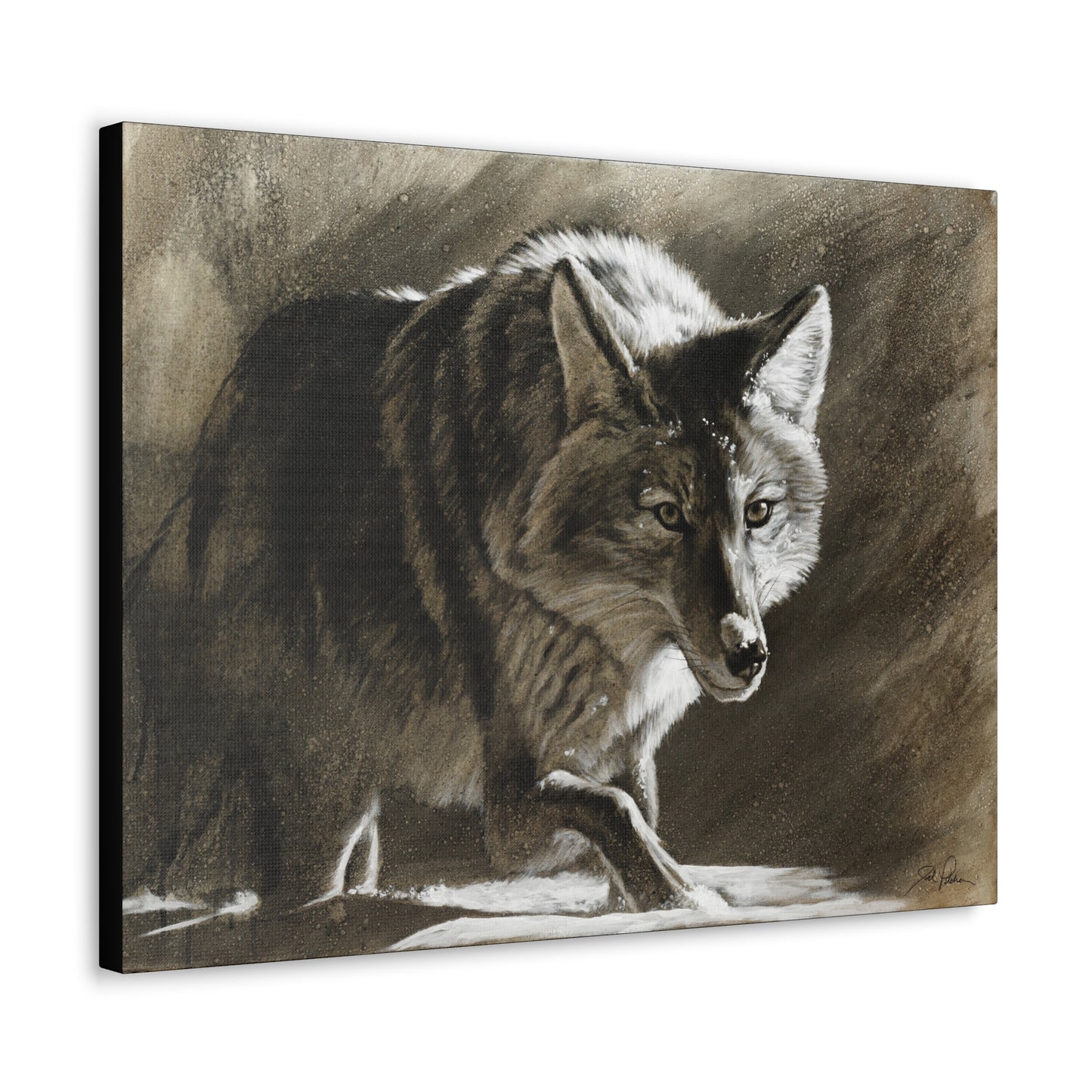 "Coyote" Gallery Wrapped Canvas